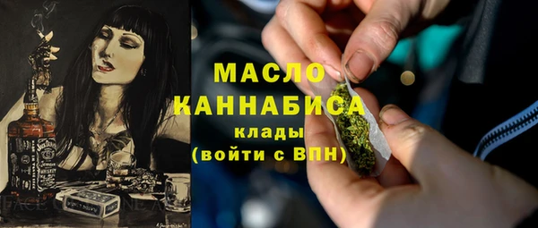 индика Иннополис