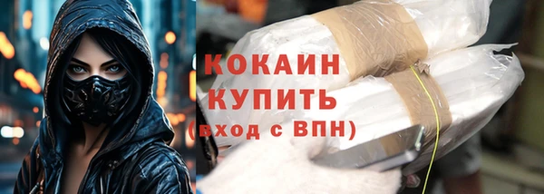 мет Инта