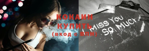 индика Иннополис