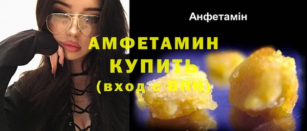 индика Иннополис