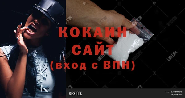 мет Инта