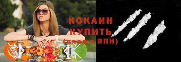 индика Иннополис