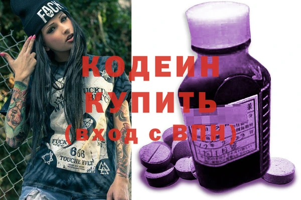 индика Иннополис