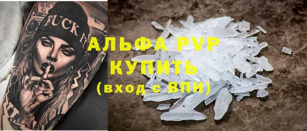 индика Иннополис