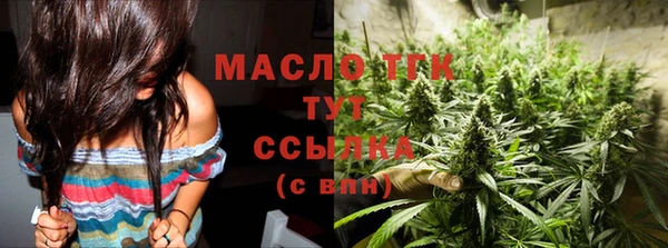 индика Иннополис
