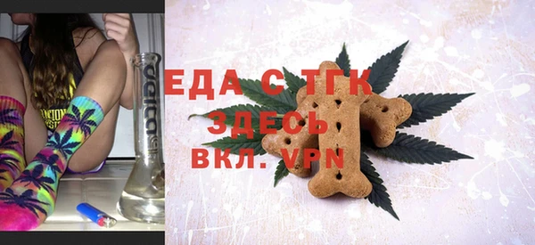 индика Иннополис