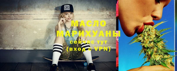мет Инта