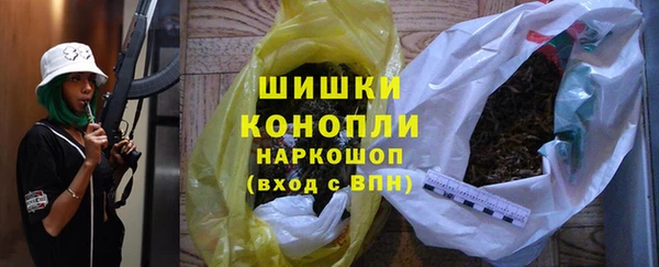 индика Иннополис