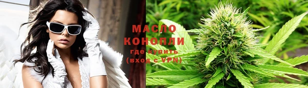 мет Инта