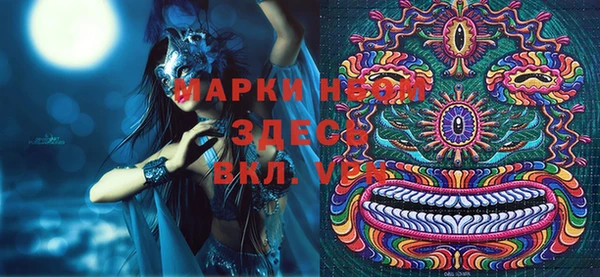 индика Иннополис