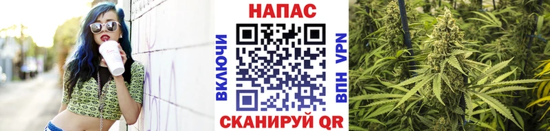Конопля индика  магазин продажи   MEGA зеркало  Кяхта 